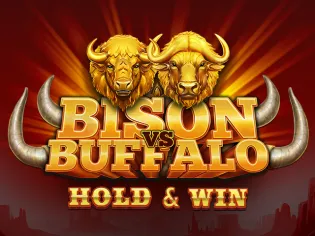 Bison vs Buffalo banner